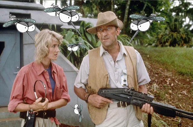 5 szúnyogriasztó növény, aminek a te kertedben is ott a helye