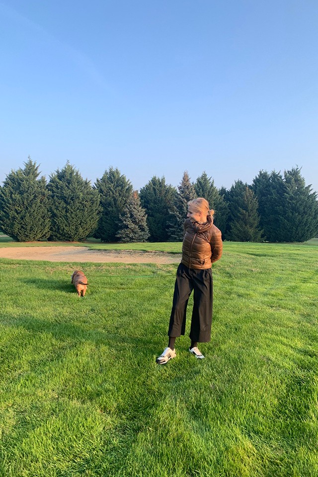 Kutyaséltatás stílusosan