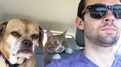 Nagyon vicces! Így reagálnak a kutyák, amikor rájönnek, hogy állatorvoshoz viszik őket!