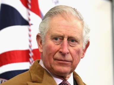 Károly király torokszorítóan szép gesztussal emlékezett meg Tina Turnerről