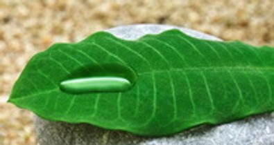 A böjtölés lélektana