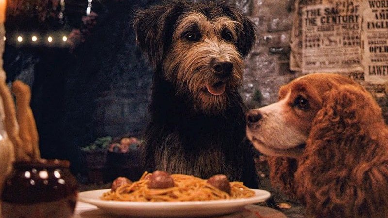 Erre az állatra hasonlítasz a horoszkópod szerint