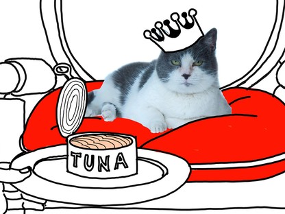 Milyen állat illik hozzád a személyiségednek megfelelően?