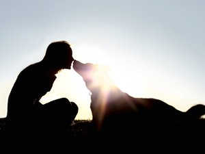 Ezeket a dolgokat gondold át, mielőtt örökbe fogadsz egy kutyát