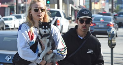 Esküvő után gyász: Joe Jonas és Sophie Turner elveszítették a kedvencüket