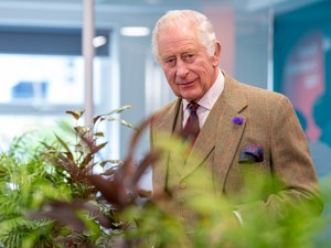 Meghökkentő titok derült ki Károly királyról