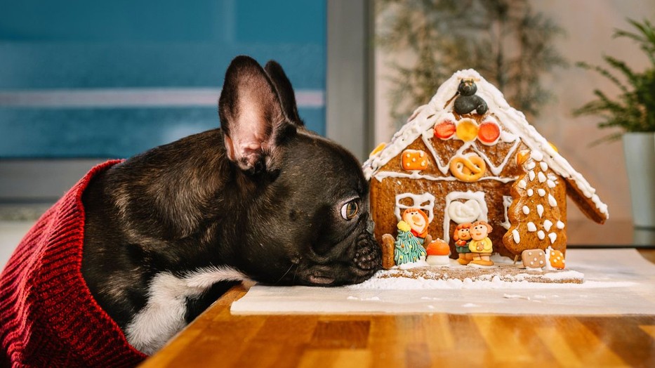 Te mindig megvárod, hogy kihüljön a mézeskalácsod, mielőtt díszíteni kezded?