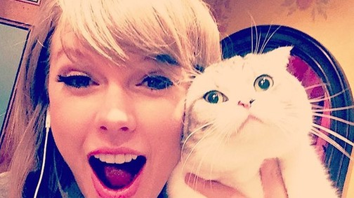 Taylor Swift macskája Victoria Beckhamként pózol Instagramon!