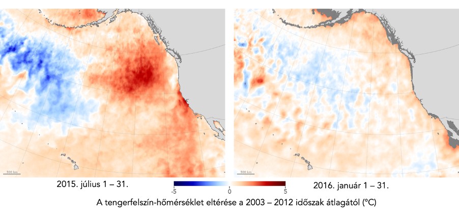 Másfélfok.hu: Egyre gyakoribbak és pusztítóbbak az óceáni hőhullámok - Aggodalomra nagyon is sok okunk van