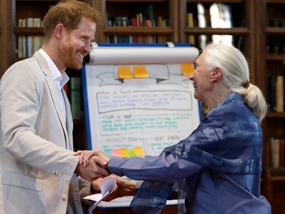 Dr. Jane Goodall elmesélte, milyen Harry herceg élete Amerikában