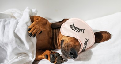 Kedvenc alvópózod félelmetesen sokat elárulhat a személyiségedről: erre utal, hogy milyen pozícióban alszol