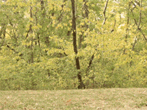 5 apróság a mindennapokra, ami segít az egészség megőrzésében