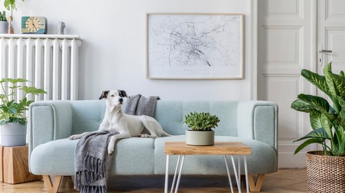 5 kérdés, amit tegyél fel ingatlanvásárlás előtt, mert akár milliókat spórolhatsz