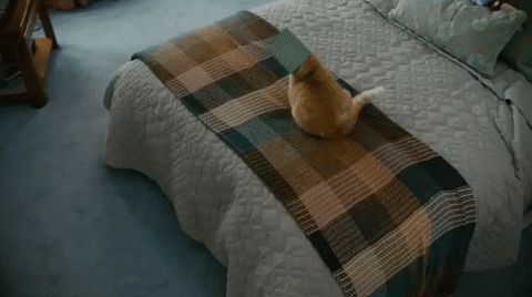 Mellőzd a szénhidrátokat ma - Egymondatos horoszkóp: Február 8.