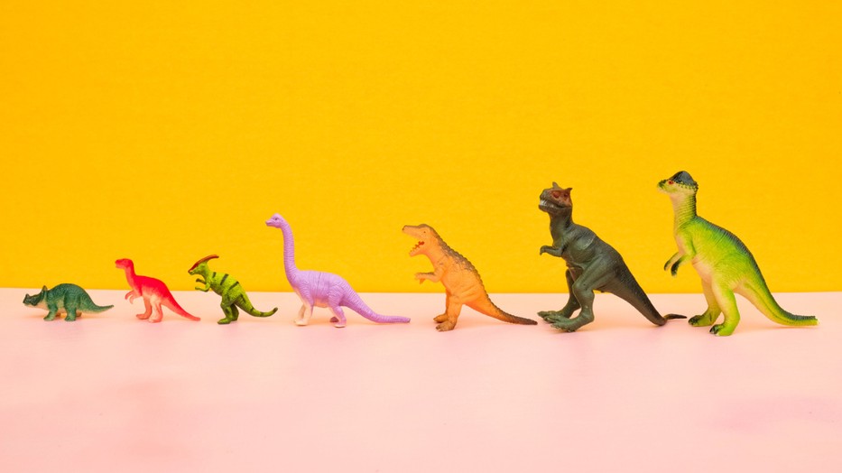 Közös étkezések, hobbik és ünneplés - ezek mind segítenek kötődést építeni a családdal