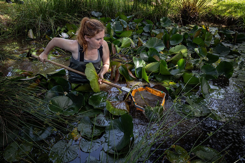 Barta Barbarát mindig is érdekelte a természet