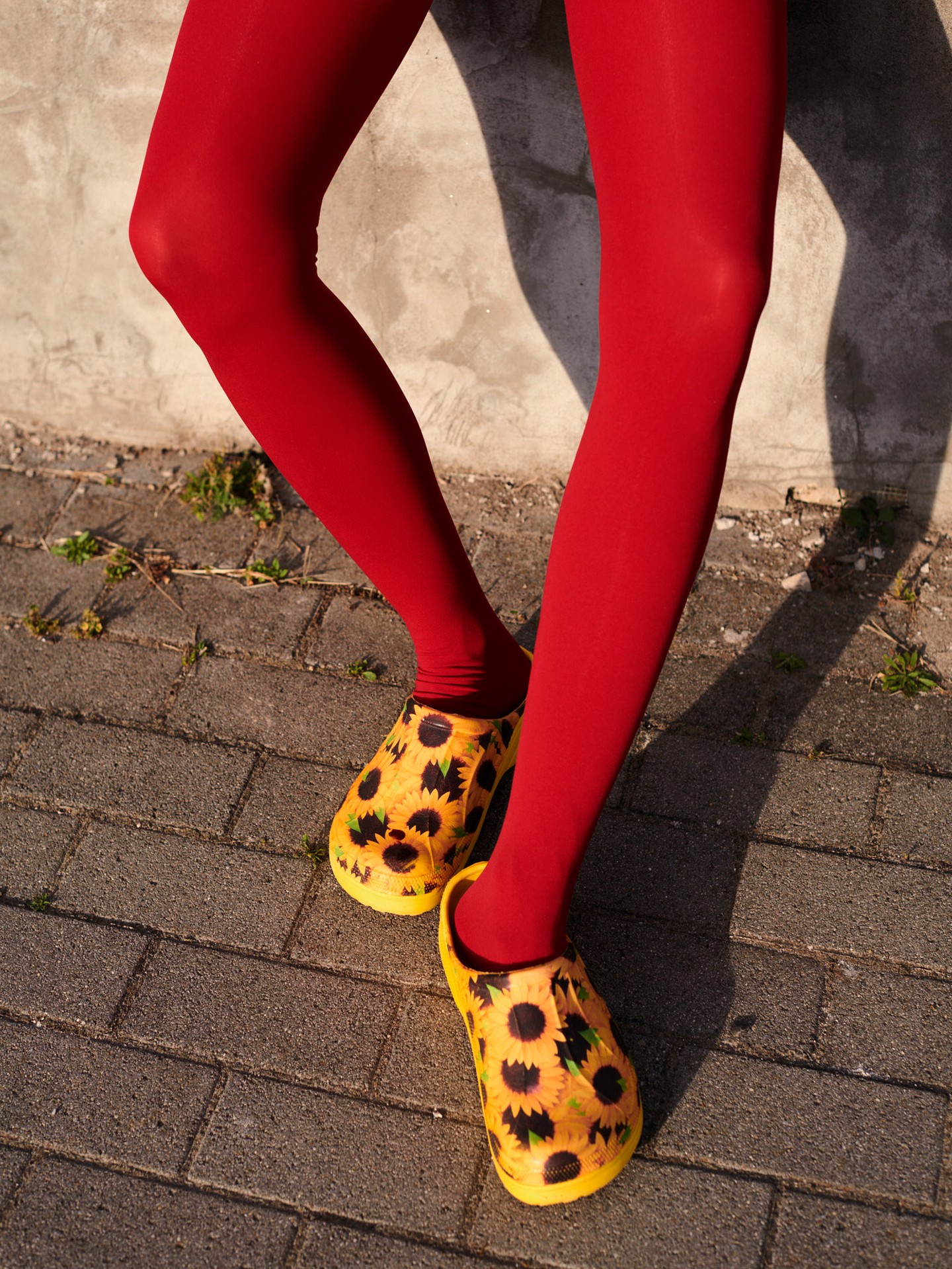 Tombor Zoltán Egy kép a Nelli című sorozatból, 2024 