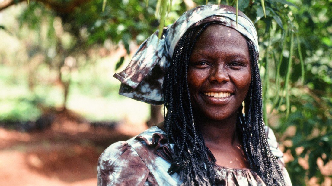 Wangari Maathai aktivizmusa példaértékű volt