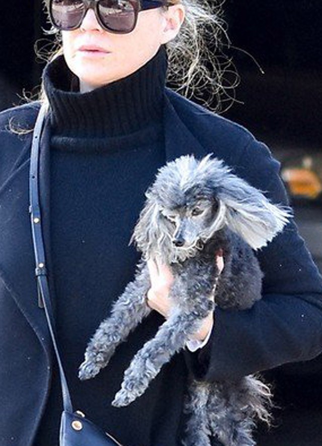 Ellen Pompeo ultrasikkes, a legmenőbb kiegészítője pedig a kutyája!