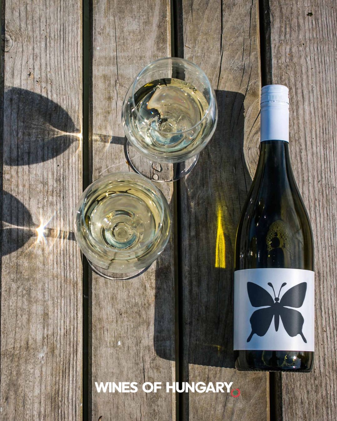 A Time out Market Budapest tökéletes helyszín lesz a Wines of Hungary finom borainak kóstolgatására