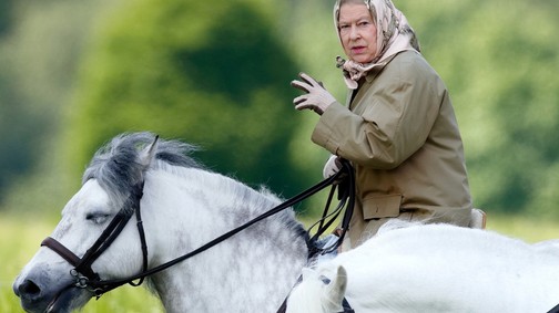 Szívszorító az Erzsébet királynőről készült utolsó portréfotó