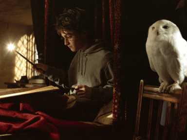 Mit keres Harry Potter a magyar oktatásban és a Google céges kultúrájában? Nagyon is sokat!