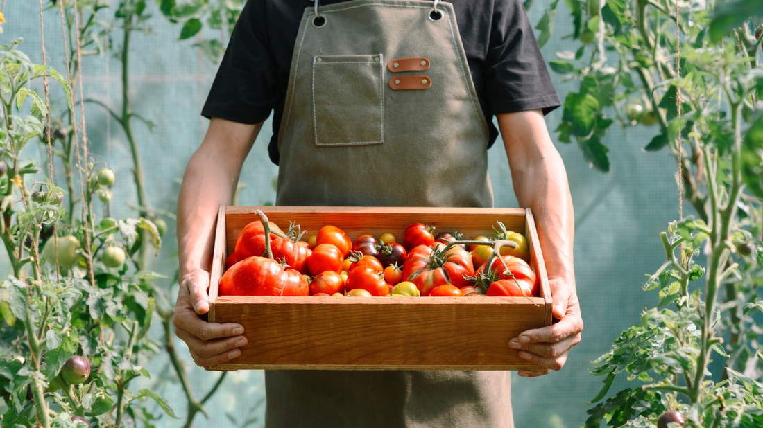 közössegi-kertek1-glamour