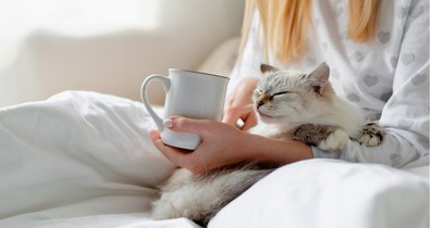 Egyetlen teáskanálnyi adag ebből varázslatossá teszi a kávédat: most rögtön érdemes kipróbálni