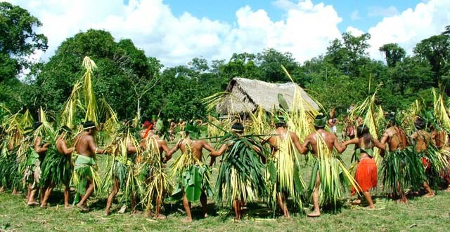 Magyar hírességek is harcolnak az égő esőerdők megmentéséért