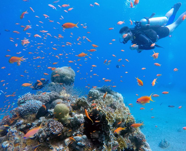 7 dolog, amit tudnod kell, ha Izraelbe utazol