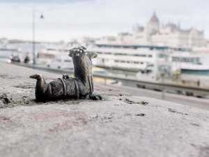 Összemosolygós pillanatokra mindig szükség van egy nagyvárosban, és ez a Kolodko-szobrok legfontosabb hatása