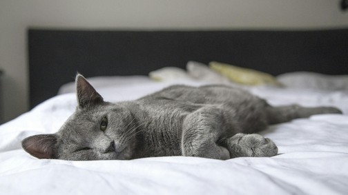A feng shui szerint ilyen a tökéletes hálószoba