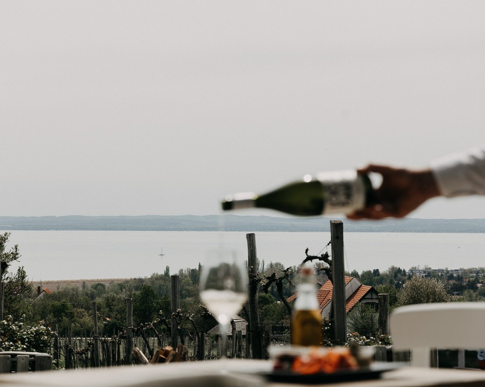 Woodstock a balatoni hegyoldalban, pezsgővel, gourmet közönséggel - Jön a Paloznaki Jazzpiknik