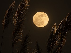 Jön a Szuperhold: ezt a 4 csillagjegyet nagyon megviseli