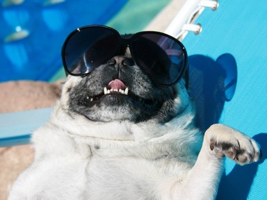 Szakértő orvost kérdeztünk: meddig tart ki a nyáron begyűjtött D-vitamin?