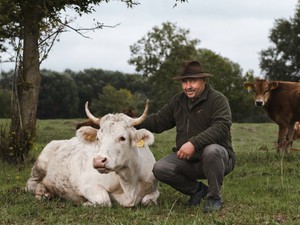 Homokhátság vészjelei: Nem biztos, hogy jut még egészséges élelmiszer az asztalodra