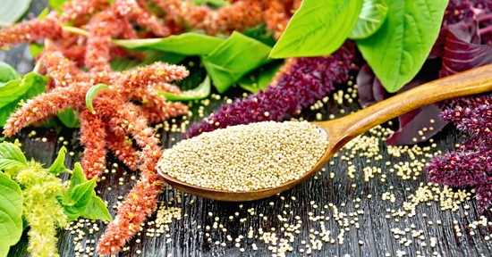 A világ legtáplálóbb élelmiszere, mégsem eszünk belőle eleget