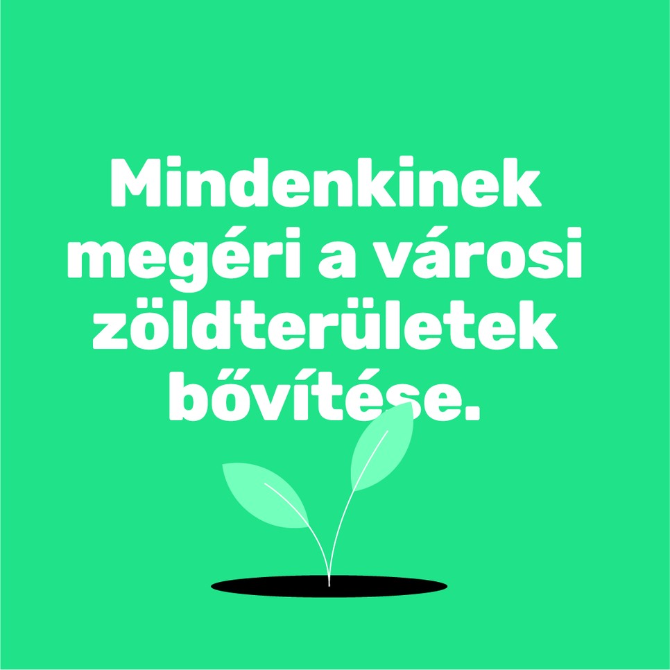 A városi fák többet érnek, mint gondolnánk