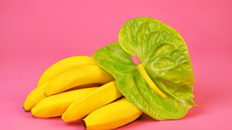  Napi szex: Nem a méret a lényeg: néhány eset, amikor a kis pénisz előnyösebb