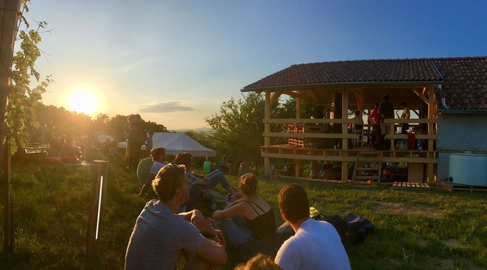 Jön az Irie Maffia első saját szervezésű fesztiválja!