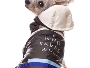 A háromlábú, örökbefogadott kutyus kollekciója még több állat életét mentheti meg