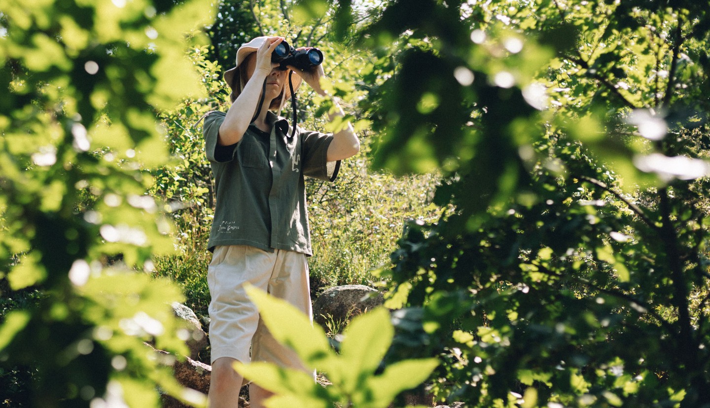 Jane Goodall X Printa kollekció