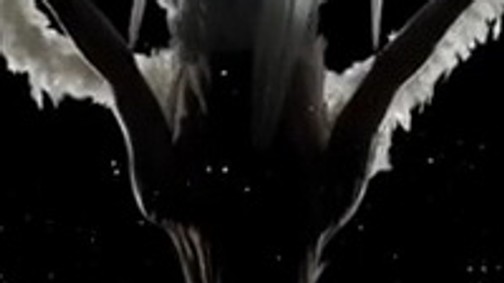 Újabb magyar siker: Tombor Zoltán és Vigh Dávid divatvideója a legjobbak között