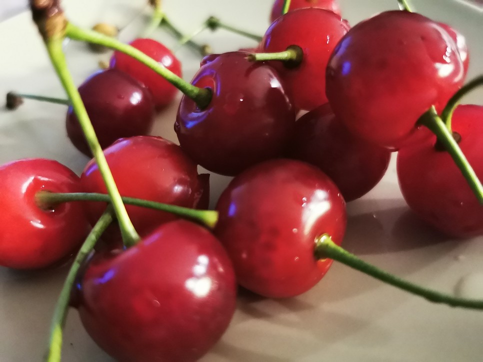 Ha a fotód mesélni tudna...Te milyen fényképeket szoktál készíteni a mobiloddal?