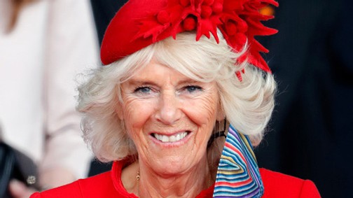 Leesett az állunk! Kamilla királyné csak úgy tündökölt, nem akárhol jelent meg az uralkodó nélkül