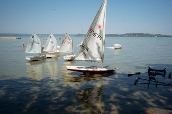 A Balaton nem haldoklik, hanem alkalmazkodik: szakemberek magyarázzák, hogyan reagált a tó a nyári hőségre