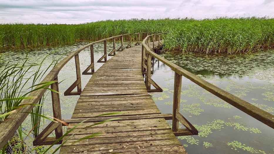 A természet közelségét élvezhetjük a Tisza-tónál