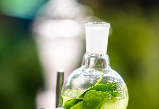 Cosmoprof Bologna 2025: Így formálja át a szépségipart a fenntarthatóság és tudatosság