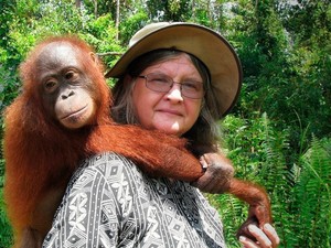 Ezért boldogabbak az orángutánok, mint mi – és ezt tanulhatjuk tőlük