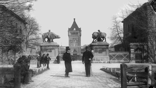 A biztonságos húsfogyasztás nyomában az egykori budapesti közvágóhídon - csak erős idegzetűeknek